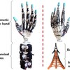 バイオミメティック生体模倣人間型ロボットハンド