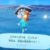 5月7日(金) あつ森のはなし 海の幸コンプリート