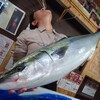 間に合った！本日入荷の漁港直送のお魚さんたち！