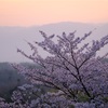 早朝の水口岡山城　その①