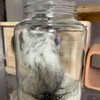 しろごまあん140日目