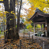 梨木神社・染井