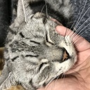 たーつーたーたー