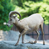 横浜金沢動物園5