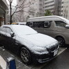 雪だ〜。