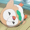 アニポケSMのモクローはどんな顔してても可愛い。