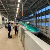 春の弘前帰省【復路その３】東北新幹線 E5系U34編成「はやぶさ40号」で東京へ～俺vs輸送障害～（新青森→仙台）
