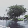 『初盆と雨が強いその日』