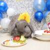 去年の１月生まれのうさぎさんのお誕生日会