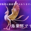 鳥のお仕事