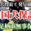 神奈川県南足柄市体長1メートルの四国犬が逃走。捜索無事発見保護されました。