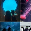 水族館🐟とCOSTCOへ　　　学校あるある（教室スケッチ）374