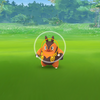 ポケモンGO! 第五世代実装 野生のチャオブー！