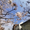 【ライカで旅する】東京の桜とコロナ禍の3月を撮影散歩