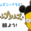 【1月15日(金)から】ディズニープラスにシーズン11,12が追加！