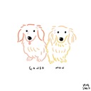 dachshund_geek’s diary