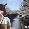 フウナ in リアル 　2025・４月　春だから🌸　目黒川（中目黒）02