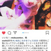 浅井さん、キョンキョン、猫のこと