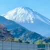 富士山に登った。2023