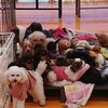 ふれあいわんこ🐶と仲良くなるコツ🤫