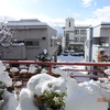 土曜日の金沢は大雪でした