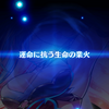 拳ベガは強い？ 今回の確定キャラ紹介