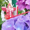 紫陽花