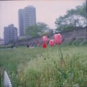 子育てブログ　～いろちゃんとあおくんの仲良し日記～