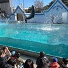 しながわ水族館