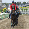 育成馬ブログ　宮崎③