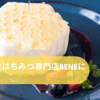 「チーズと生はちみつ ベーネ(BeNe)」の新作「チーズと生はちみつの白いワッフル」と「ハニーフラッペ」が登場