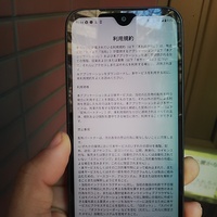 一切の停止を命じる