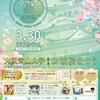 大阪青山大学の桜祭りに行ってきました