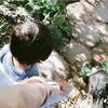 清澄庭園の年パスを作って二歳男子と通った秋晴れの日々