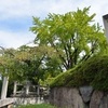 豊国神社へのアクセス｜京都駅からの行き方【写真付きで紹介】