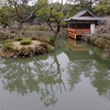 菱形池（大分県宇佐）