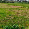 ベタな下関 田園風景(^^)🍀