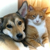 今夜 〝アレ〟は決まるのか？、、、