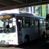 円山動物園ラッピングバス