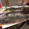 昨日到着の漁港直送の魚たち！