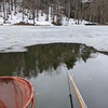 後少しで氷も無くなる北海道の山の池です。たぶん日本でも1番寒い地域のヘラブナ釣りですね、(2022富沢の池2)