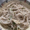 年越し蕎麦はゴリゴリ系？寂しい系？