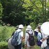 2025年9月4日(木)虫に注目する自然散歩～西岡公園