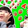 3月21日の動画