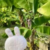 日本人には到底理解できない東南アジアのルーズな時間感覚の実態とは？私のセブ＆チェンマイの実例