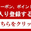 【送料無料】水着 2017 ビキニ ボタニカル柄 花柄 リゾート トロピカル柄 