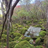 大洞山・尼ケ岳　苔と紅葉の登山（三重県）（11/13）