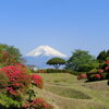 山中城/お城の基本情報やイベント、周辺施設の紹介/日本100名城（静岡県三島市）