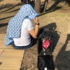 まあるい日