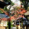 勝俣部長の「ため息」４９９３回････何故現象